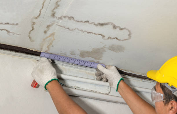Reliable Mold Remediation contractor in Nashville, IL by Local Water Damage Repair